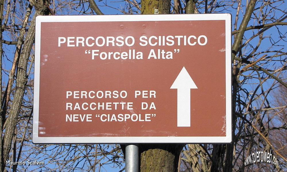 14 E adesso giù sulla pista nel bosco!.JPG